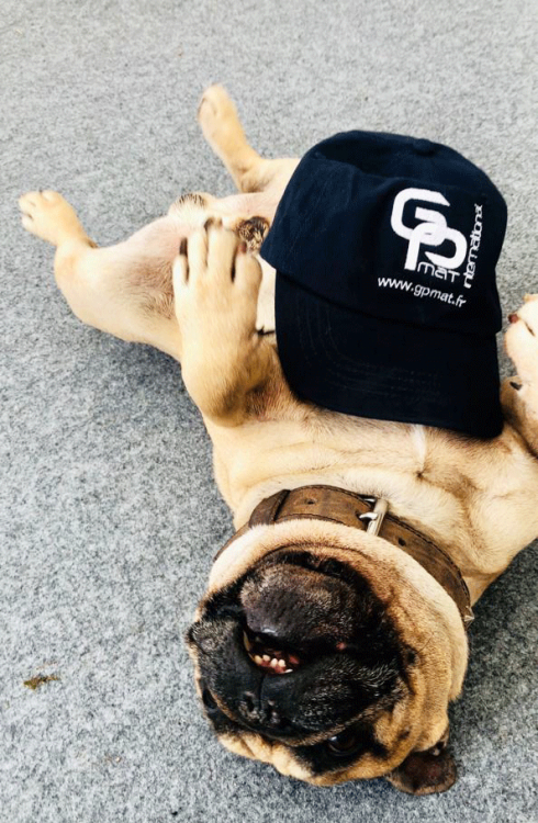 Notre mascotte🐶 Jack se joint à nous pour vous souhaiter un très bon week-end !