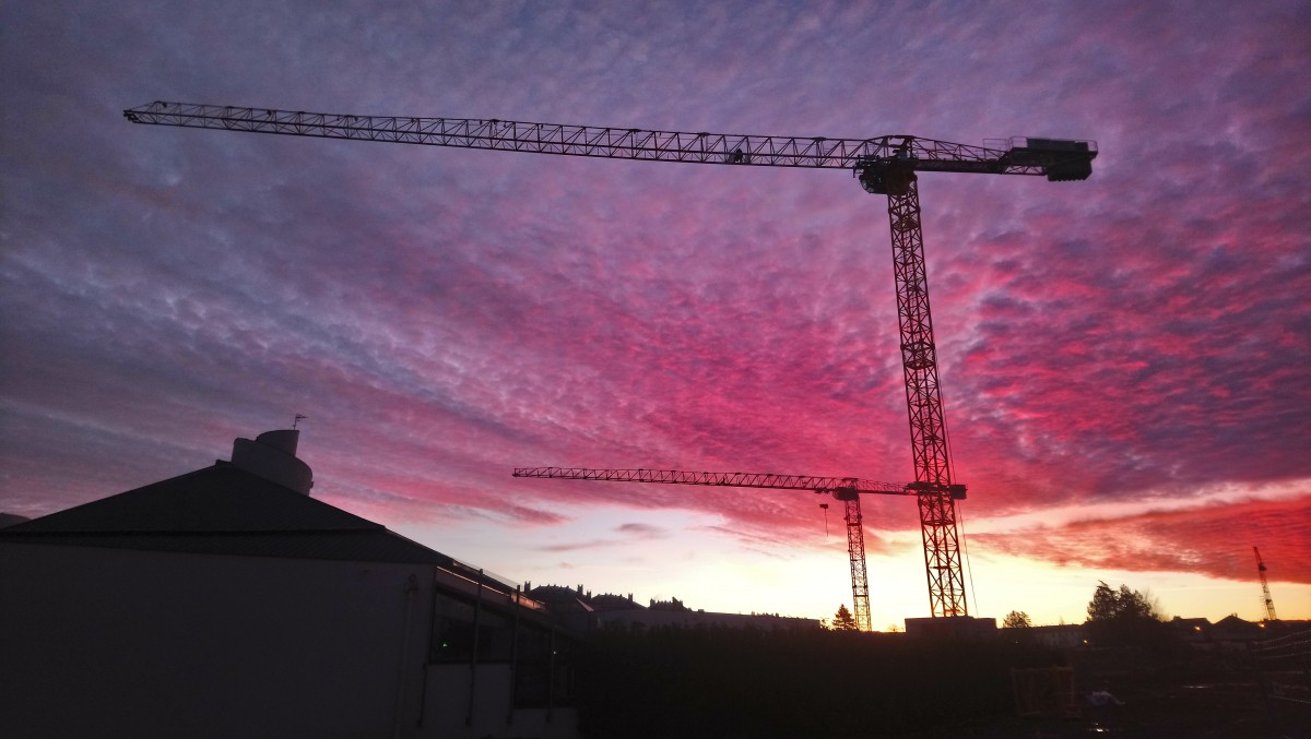 De belles couleurs !!, Deux belles grues !!