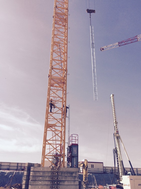 Grue à tour RAIMONDI MRT 243 