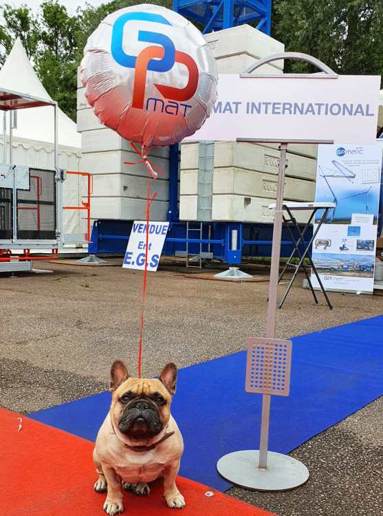 Notre mascotte🐶 Jack se joint à nous pour vous souhaiter un très bon week-end !